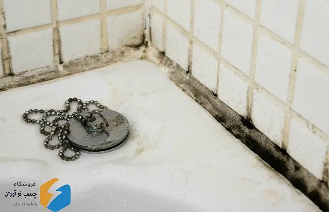 از بین بردن کپک و قارچ حمام