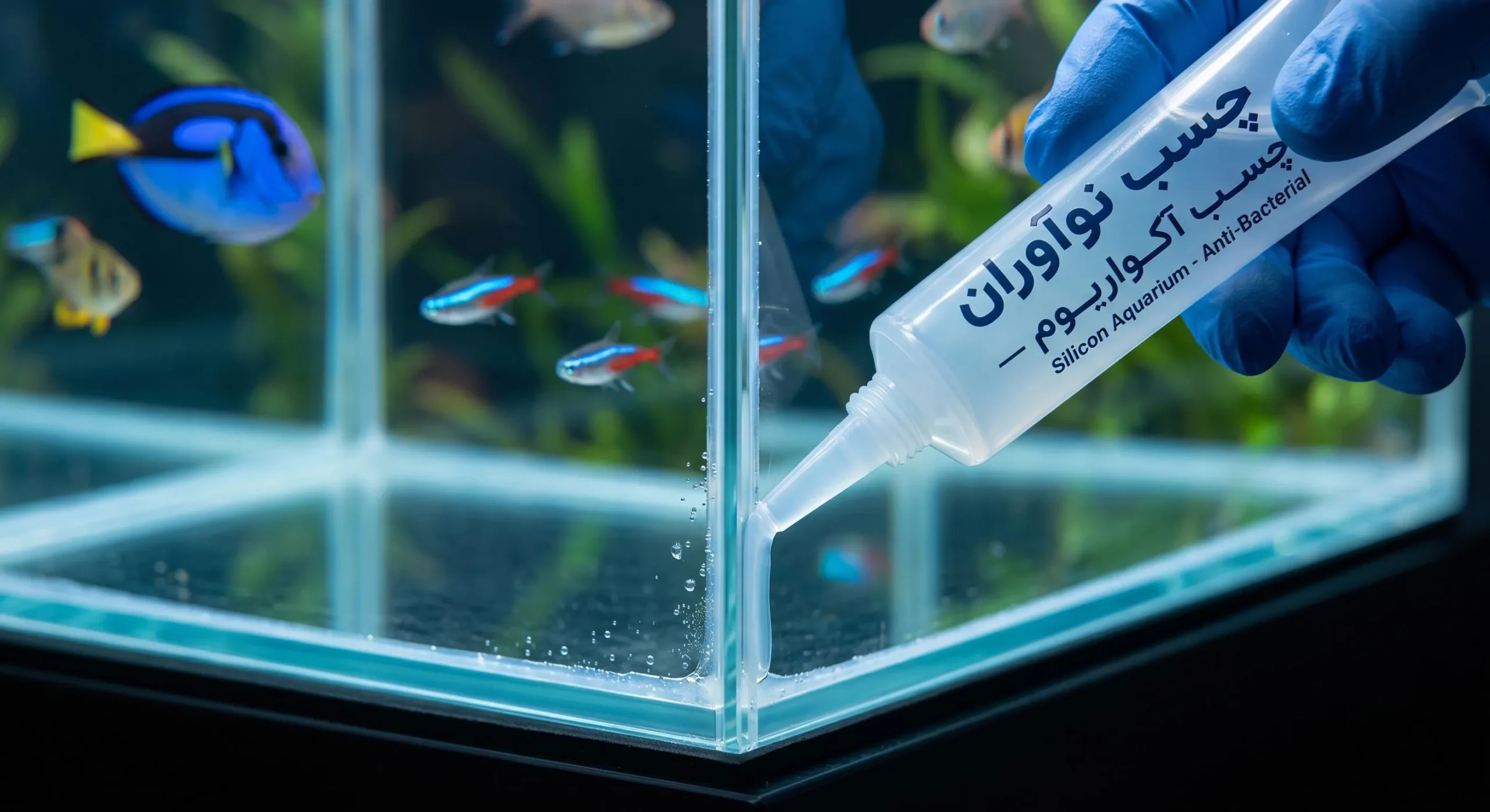 راهنمای خرید چسب آکواریوم
